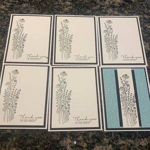 Set of 6 handmade Thank You cards. (Well 5 Thank You and one all occasion.)